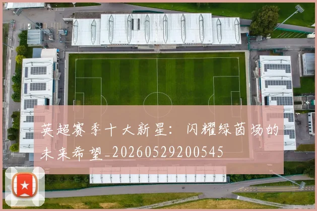 英超赛季十大新星：闪耀绿茵场的未来希望_20260529200545