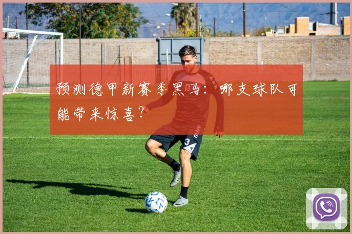 预测德甲新赛季黑马：哪支球队可能带来惊喜？