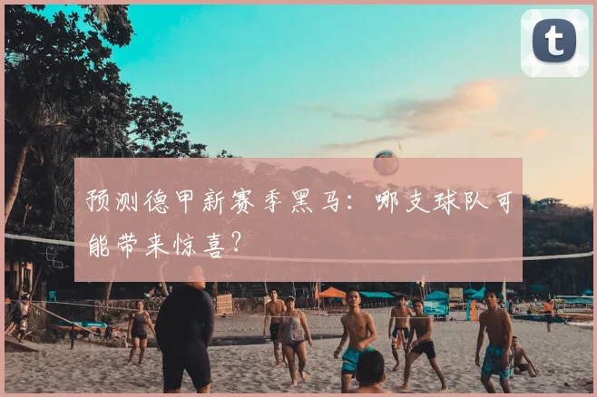 预测德甲新赛季黑马:哪支球队可能带来惊喜?
